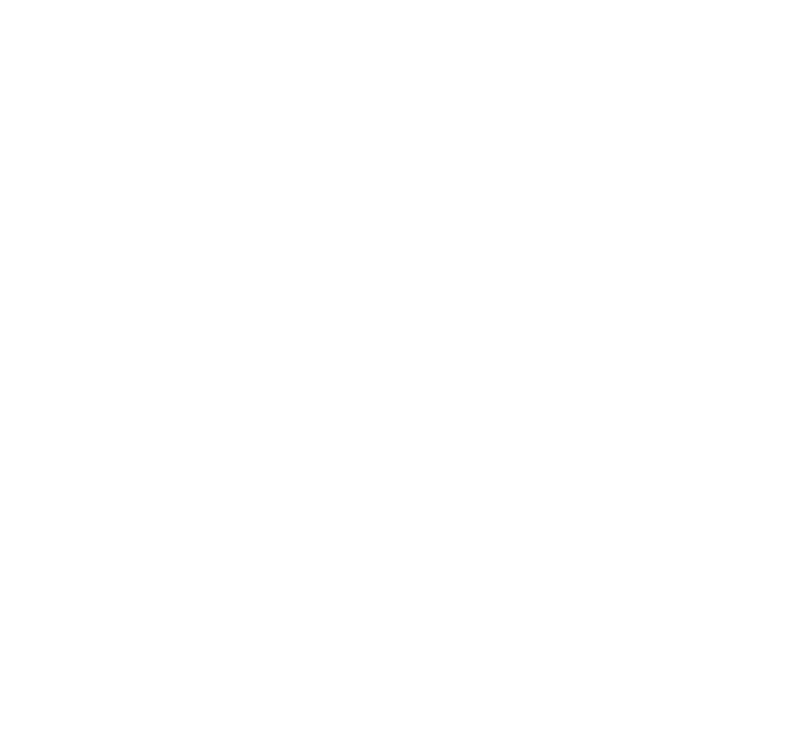 RecinzioniFence